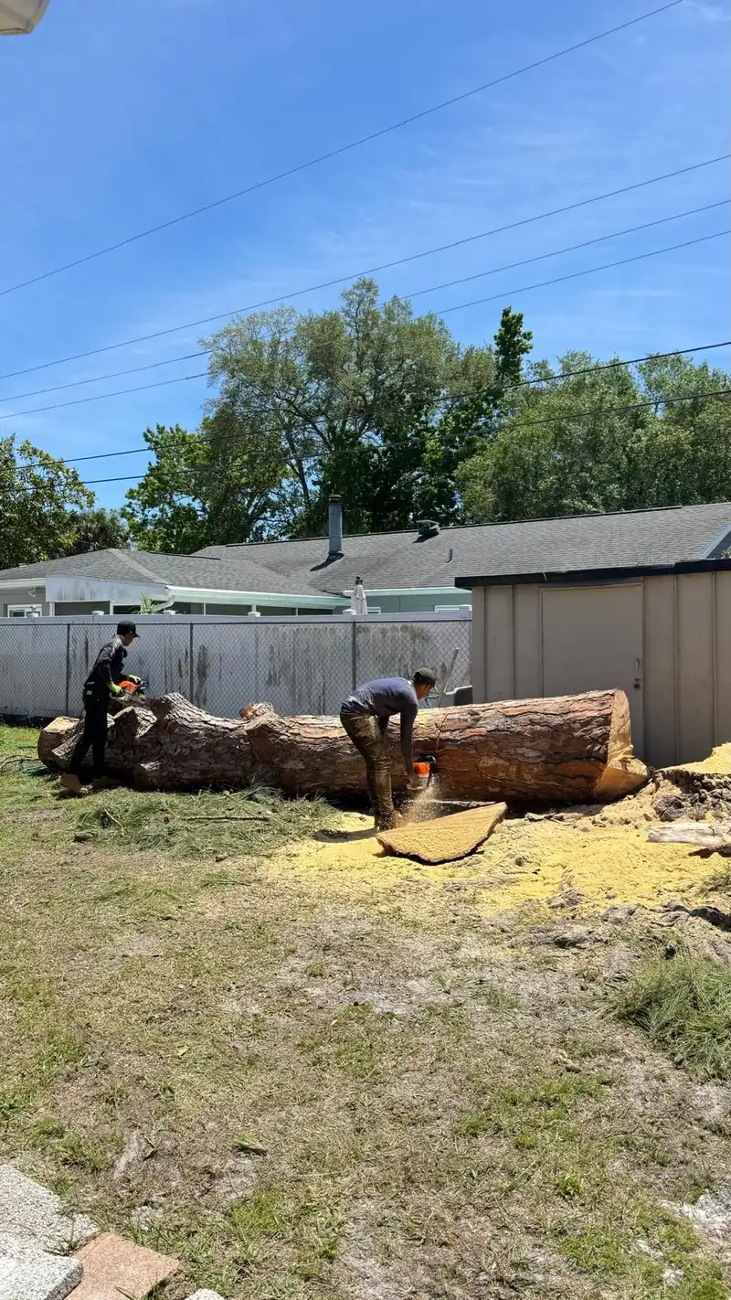 Crew bucking a felled tree into manageable pieces for cleanup