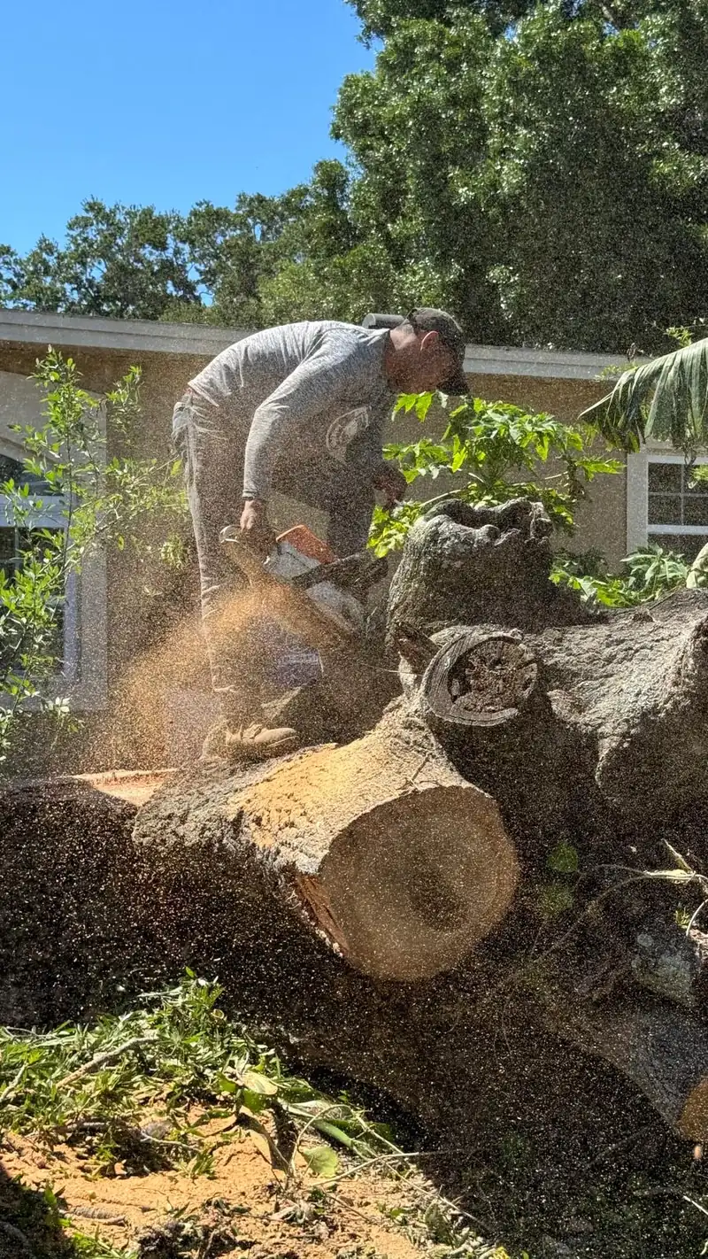 FTDF Services crew member cutting through a large oak trunk with a chainsaw