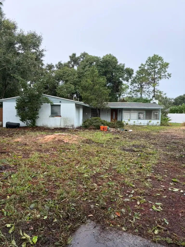 Freshly cleared and leveled residential lot in Tampa with mature oaks left standing