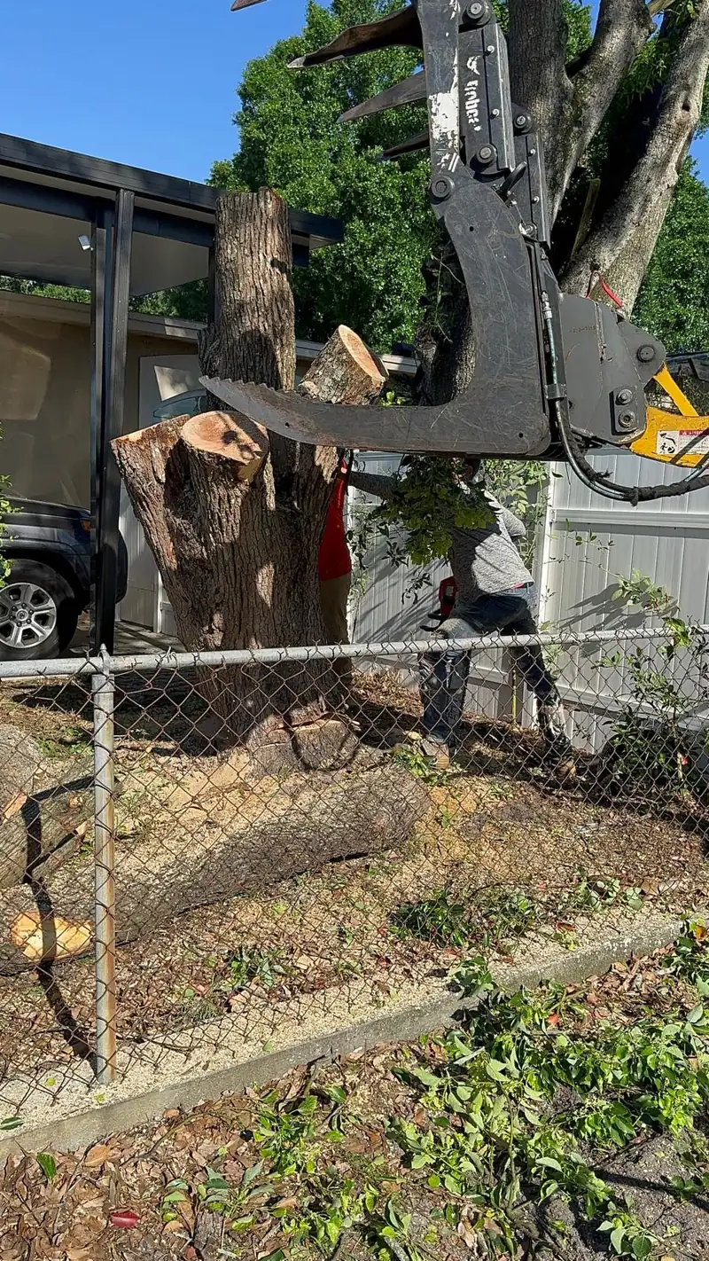 Grapple loader lifting a trunk section during tree and stump removal