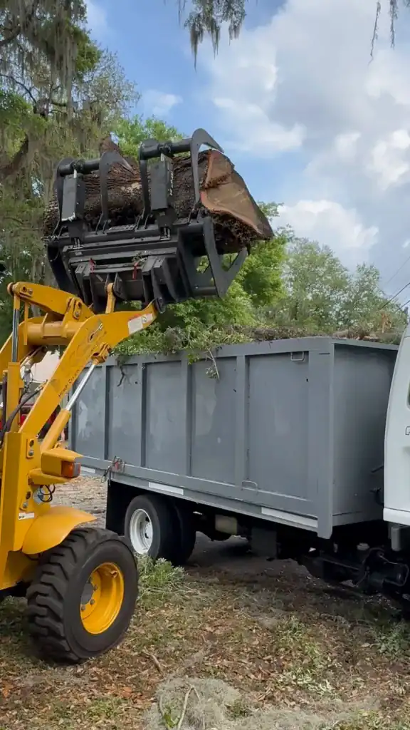 Loader dumping logs into a dump trailer for debris removal