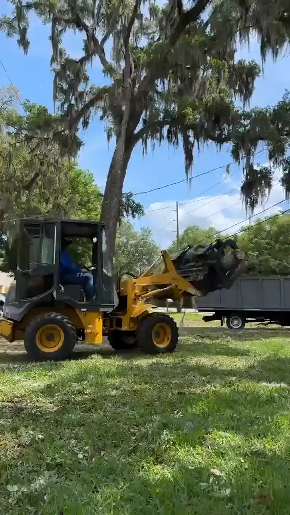Loader moving logs under moss-draped oaks