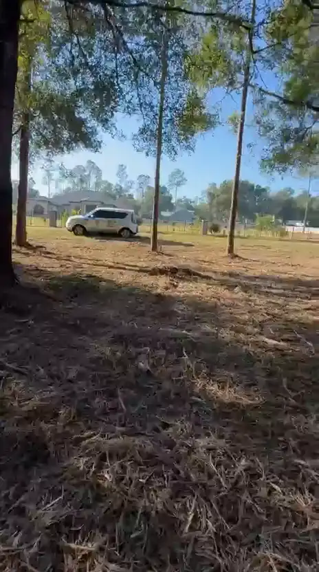 Wooded lot cleared by forestry mulching while keeping selected trees
