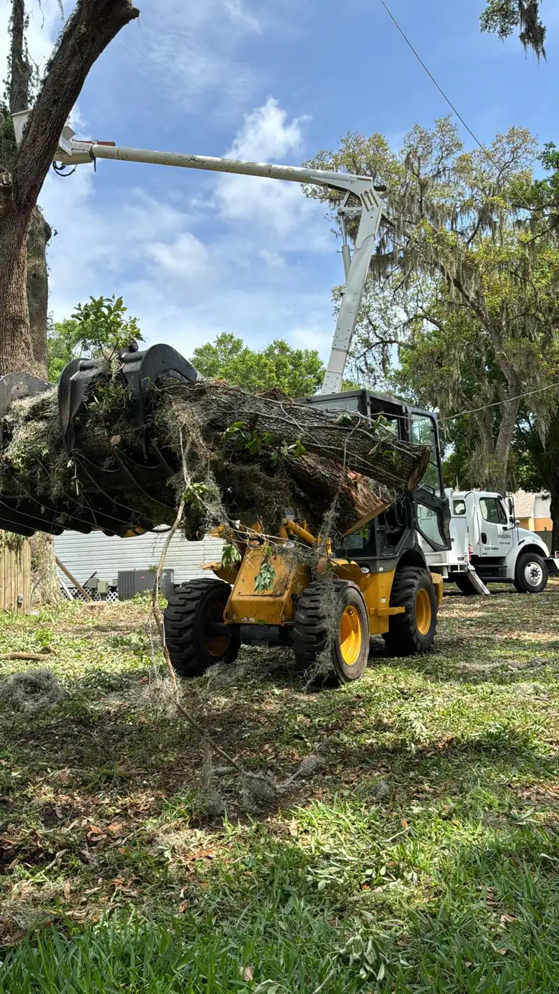 Wheel loader carrying a large log off a residential property