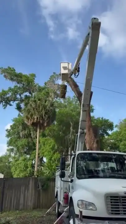 Bucket truck tree removal – FTDF Services video