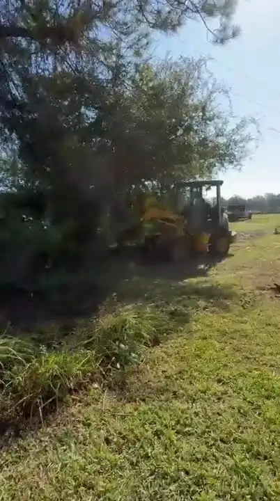 Forestry mulcher clearing brush – FTDF Services video