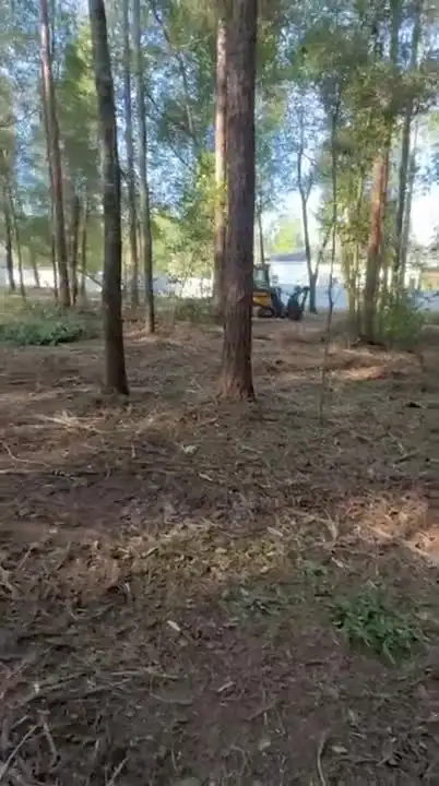 Clearing pine acreage – FTDF Services video